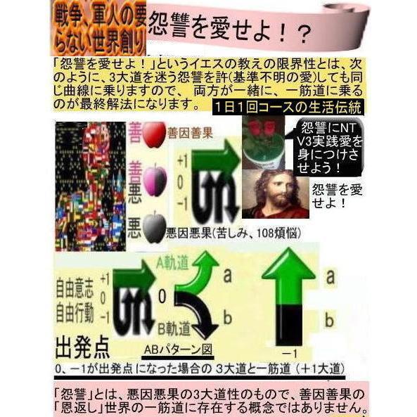 新生活　パンドラの箱のミステリー解明 |  | 12