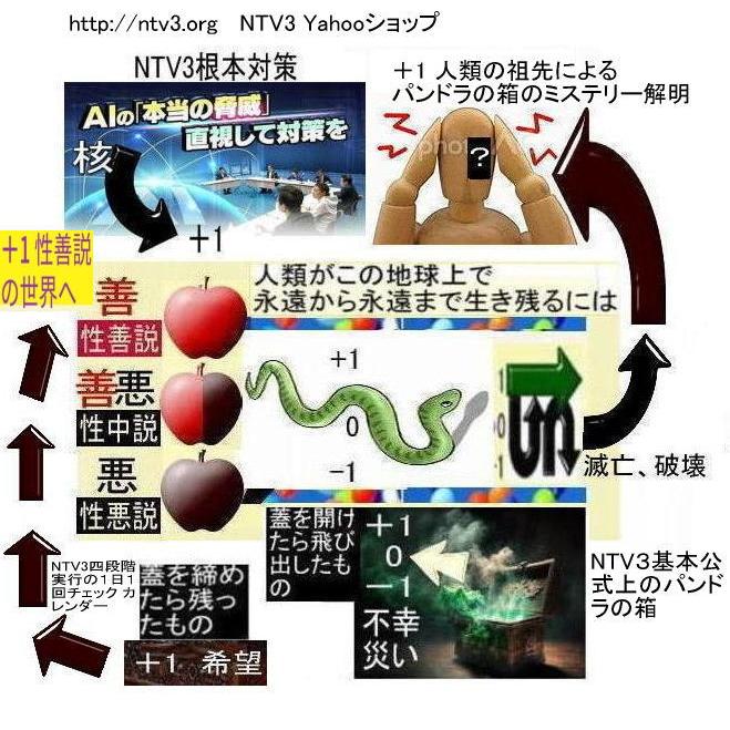 新生活　パンドラの箱のミステリー解明 |  | 14