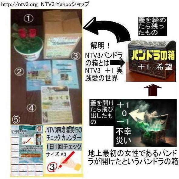 新生活　パンドラの箱のミステリー解明 |  | 01