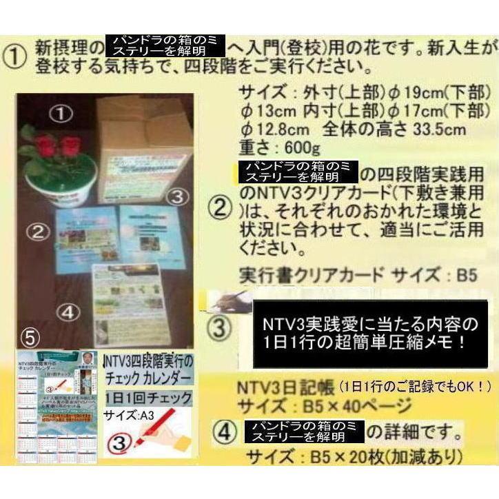 新生活　パンドラの箱のミステリー解明 |  | 02