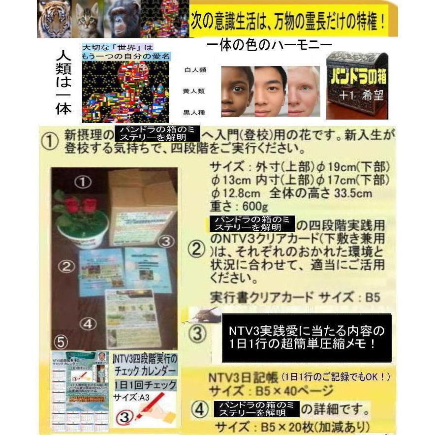 新生活　パンドラの箱のミステリー解明 |  | 03