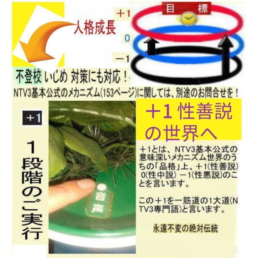 新生活　パンドラの箱のミステリー解明 |  | 06