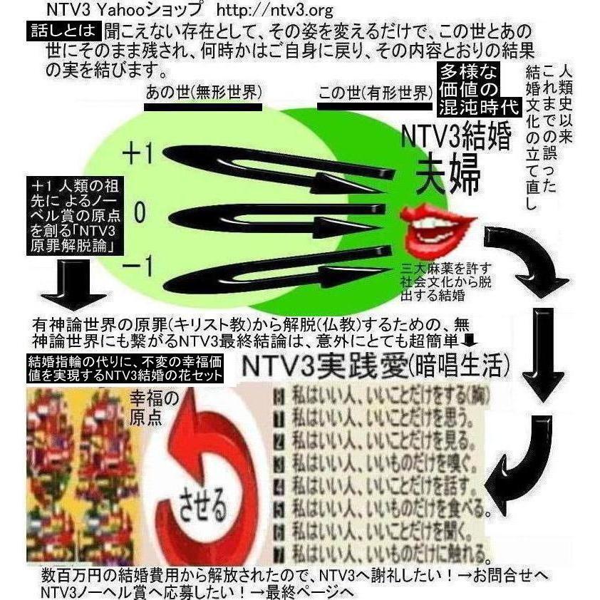 NTV３結婚資格証 |  | 12