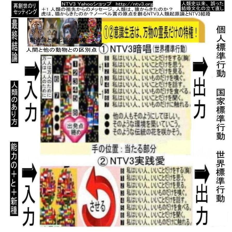 NTV３結婚資格証 |  | 13