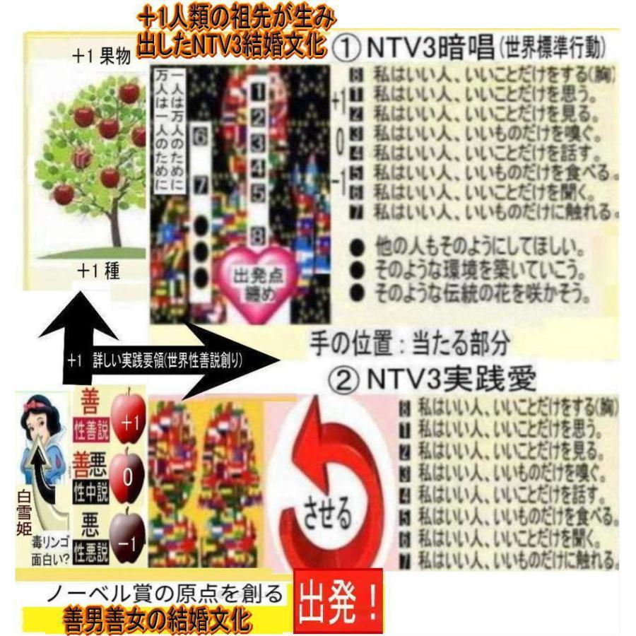 NTV３結婚資格証 |  | 14