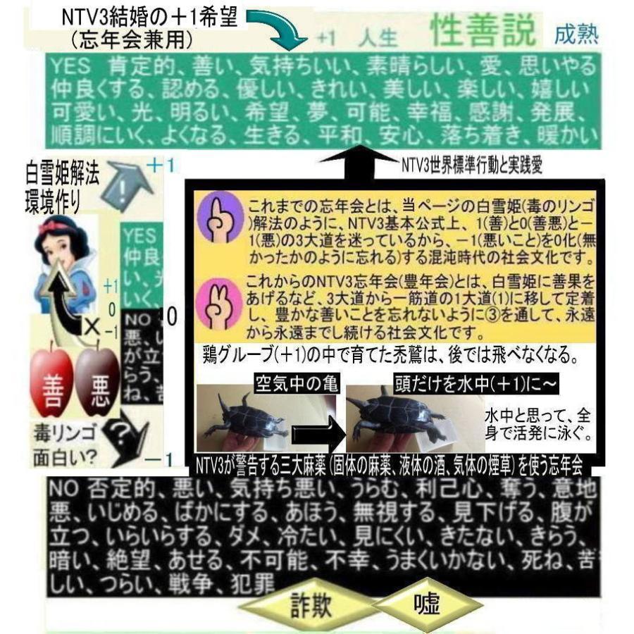 NTV３結婚資格証 |  | 17