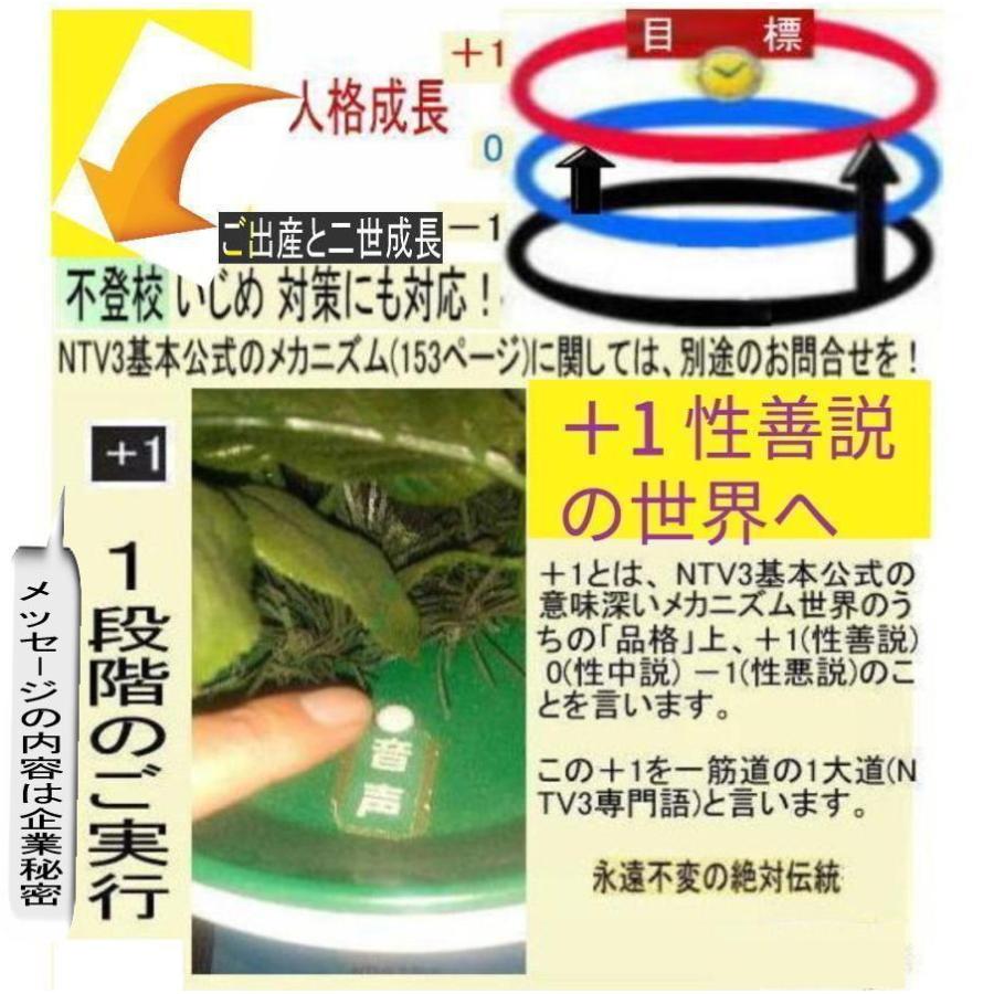 NTV３結婚資格証 |  | 19