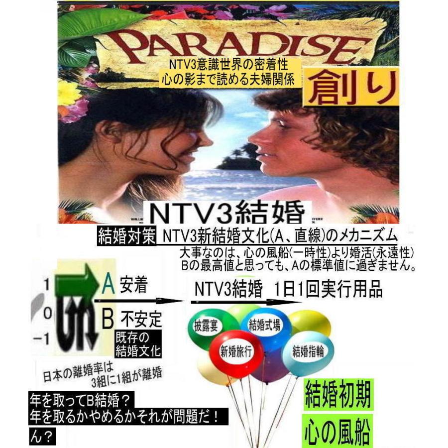 NTV３結婚資格証 |  | 01