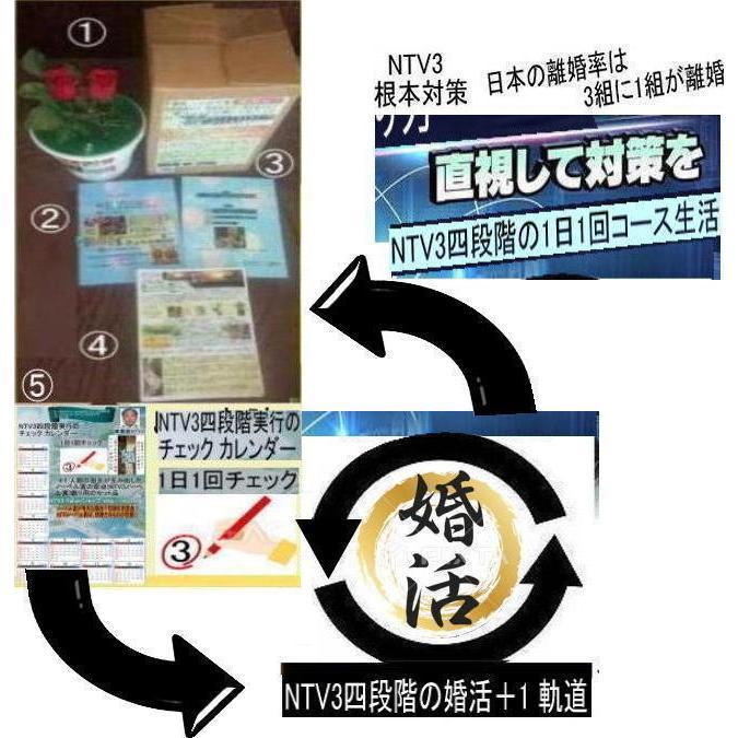NTV３結婚資格証 |  | 06