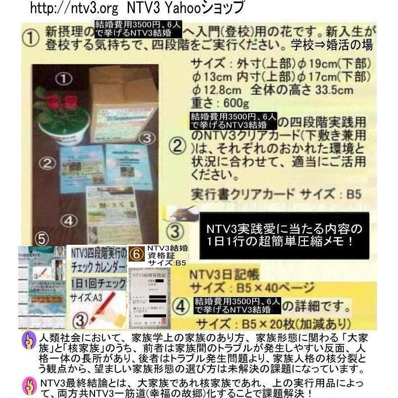 NTV３結婚資格証 |  | 07