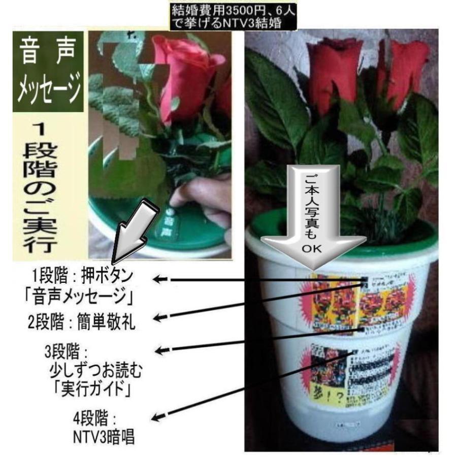NTV３結婚資格証 |  | 08