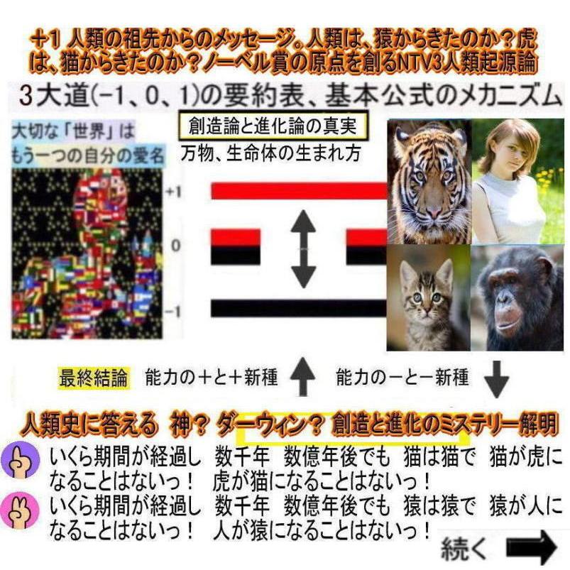 新生活　創造論と進化論の真実 |  | 02