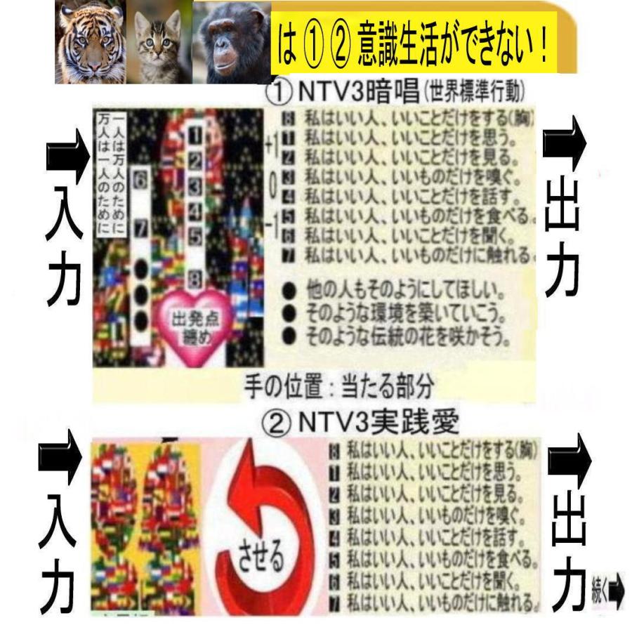 新生活　創造論と進化論の真実 |  | 03