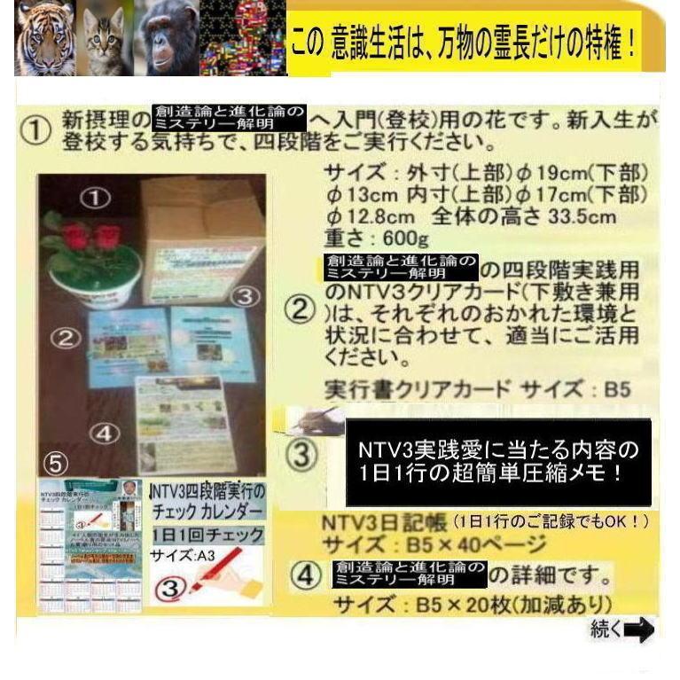 新生活　創造論と進化論の真実 |  | 05