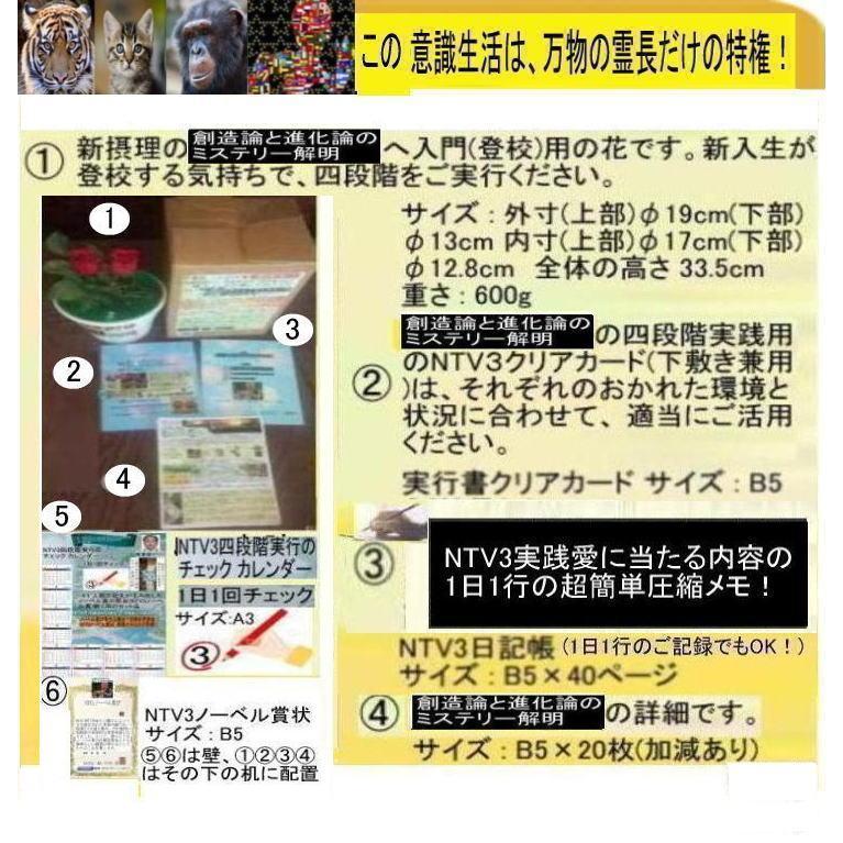 新生活　創造論と進化論の真実 |  | 05