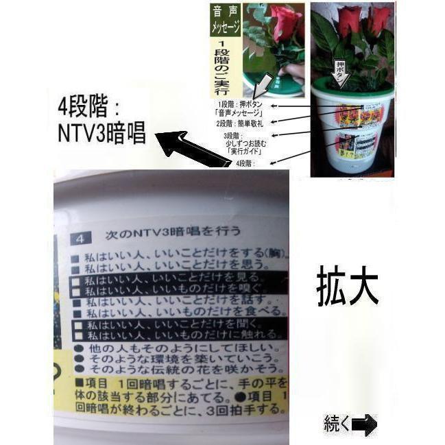 新生活　創造論と進化論の真実 |  | 07