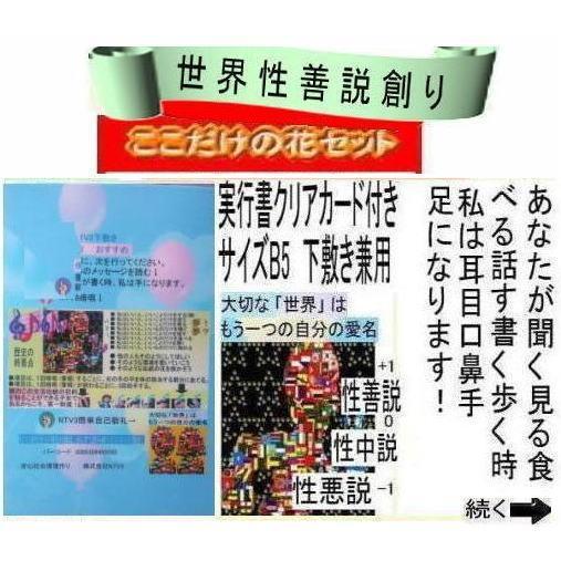 新生活　創造論と進化論の真実 |  | 09