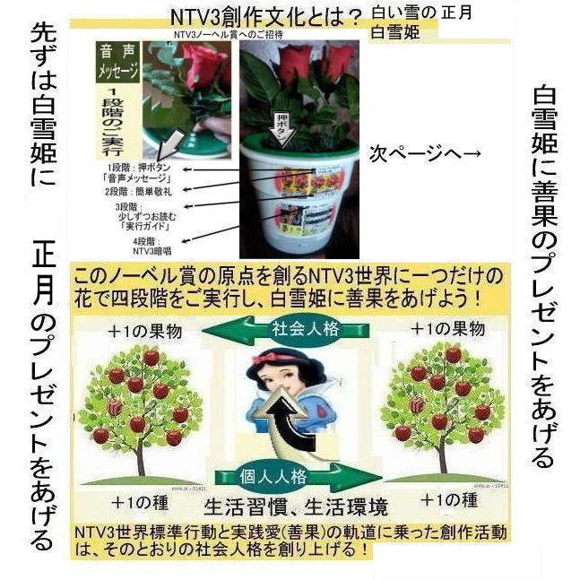 公益  NTV3正月の絶品 |  | 09