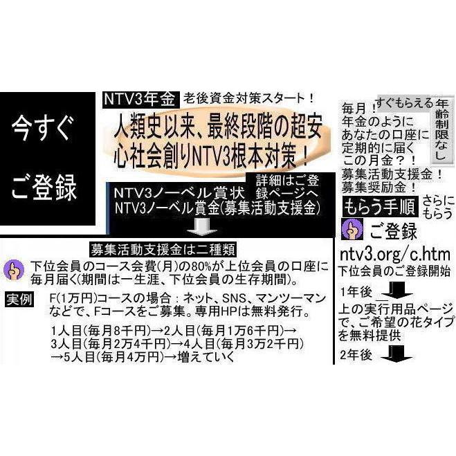 老後資金対策 これからスタート！ | 