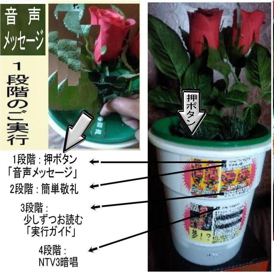 老後資金対策 これからスタート！ |  | 09