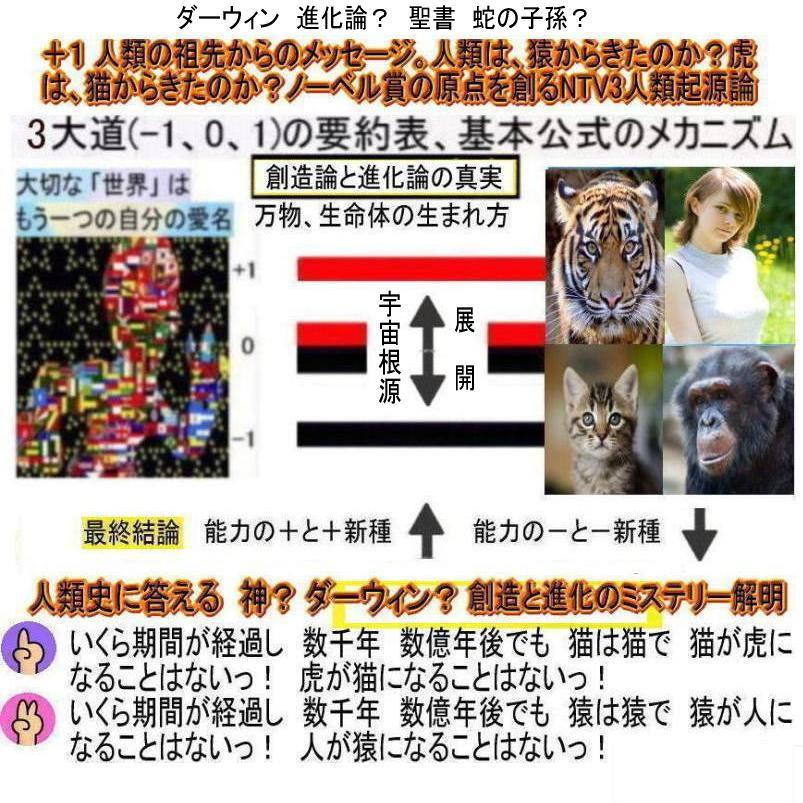 新生活　創造論と進化論のミステリー解明 |  | 02