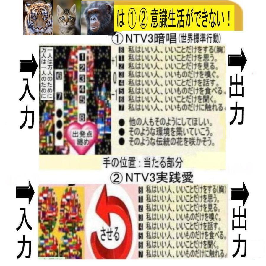 新生活　創造論と進化論のミステリー解明 |  | 03