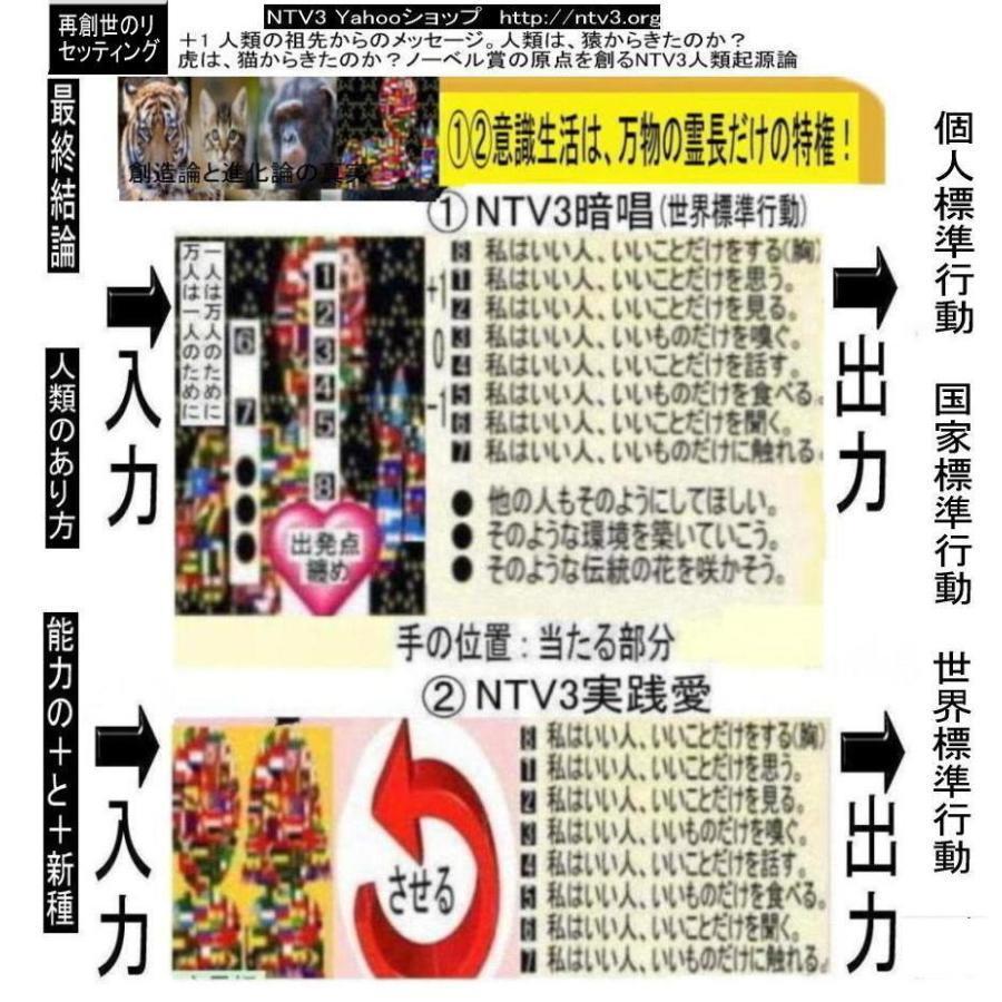 新生活　創造論と進化論のミステリー解明 |  | 04