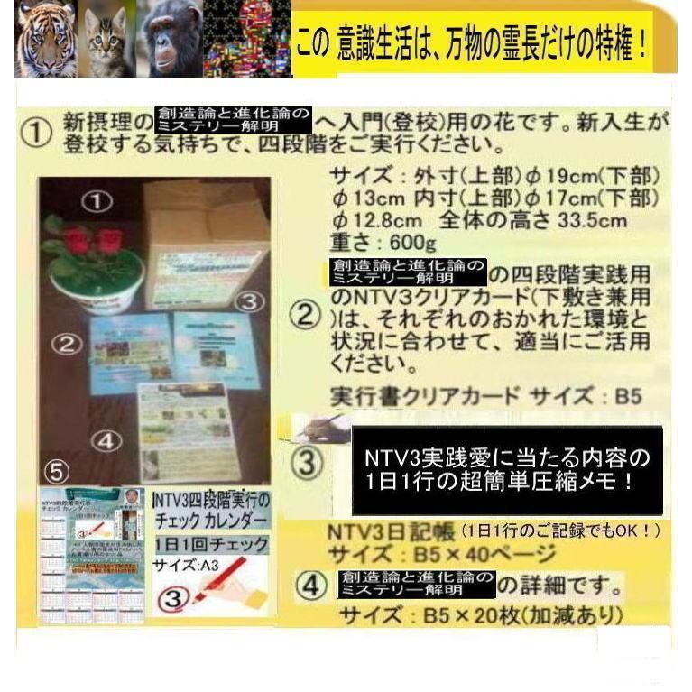 新生活　創造論と進化論のミステリー解明 |  | 05