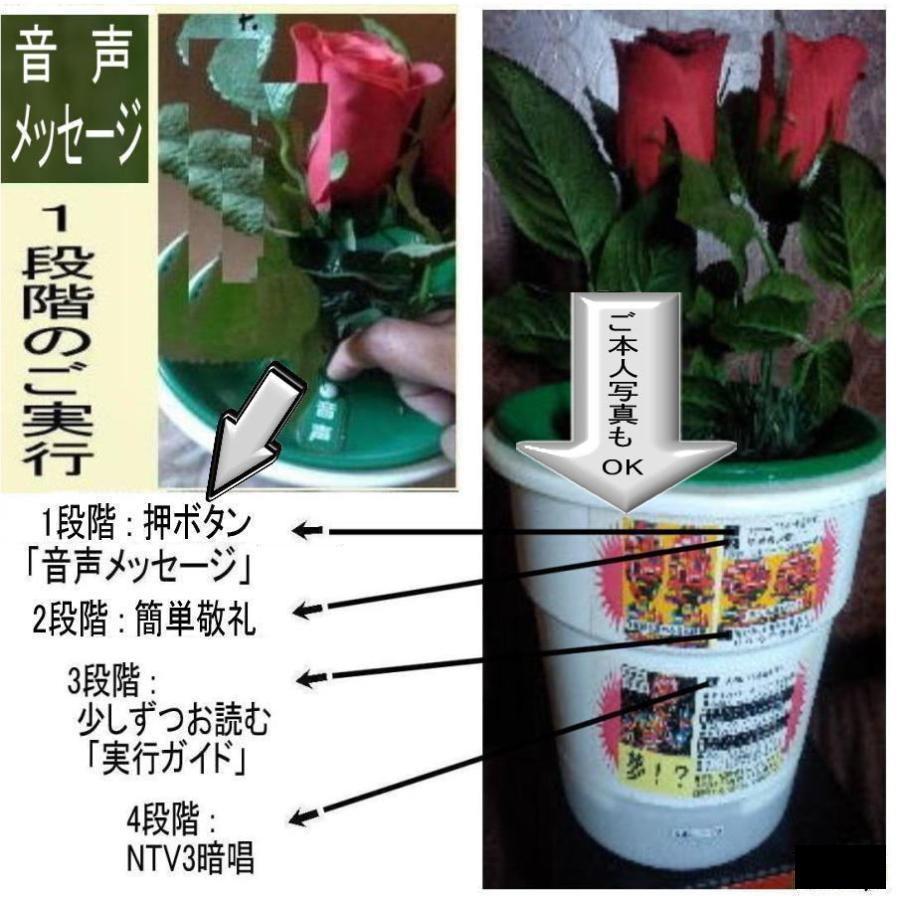 新生活　創造論と進化論のミステリー解明 |  | 06