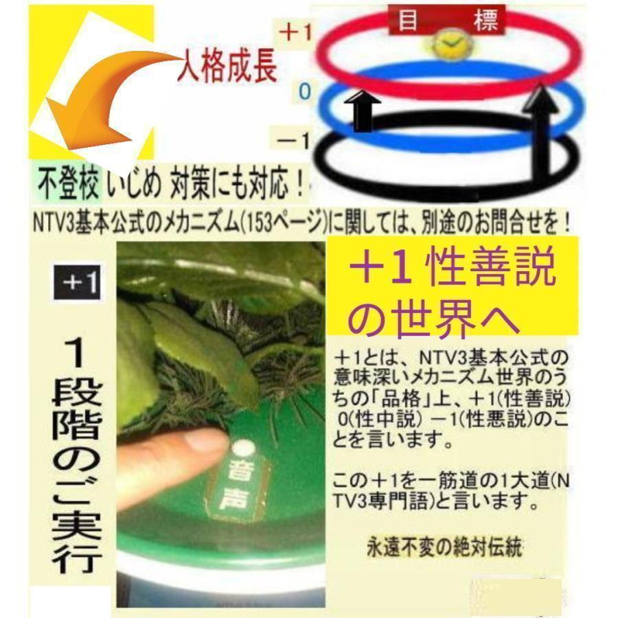 新生活　創造論と進化論のミステリー解明 |  | 08