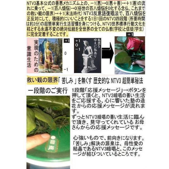 新生活  執着心の発動法「仏教の再出発」 |  | 12