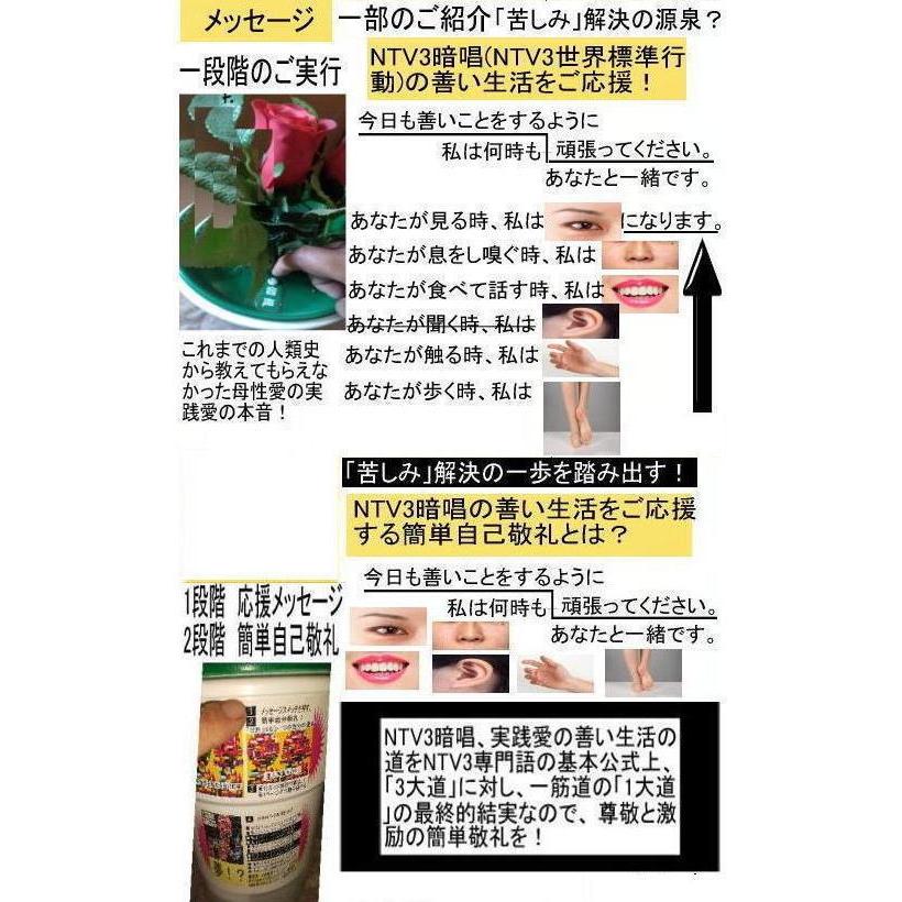 新生活  執着心の発動法「仏教の再出発」 |  | 13