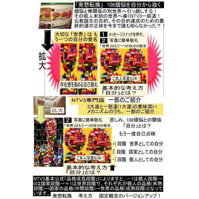 新生活  執着心の発動法「仏教の再出発」 |  | 14