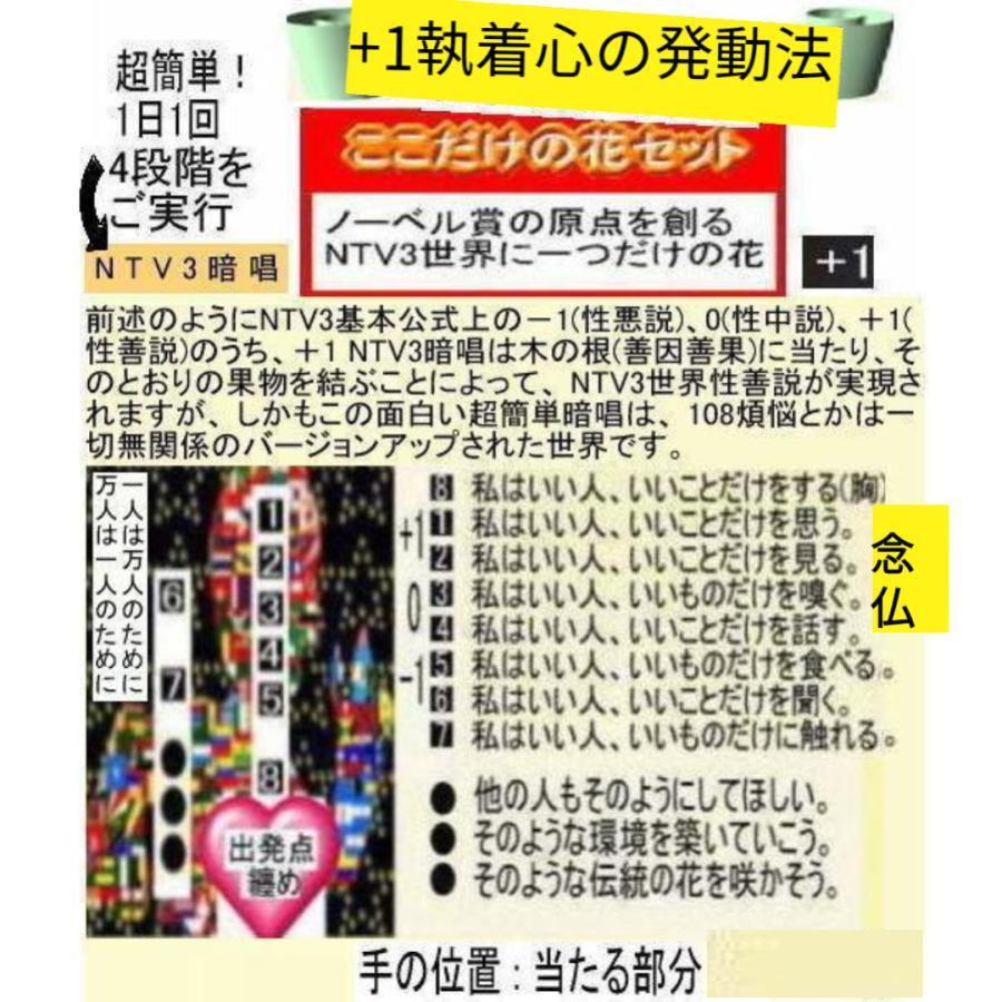 新生活  執着心の発動法「仏教の再出発」 |  | 15