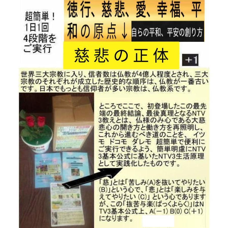 新生活  執着心の発動法「仏教の再出発」 |  | 16