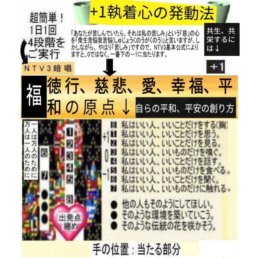 新生活  執着心の発動法「仏教の再出発」 |  | 17