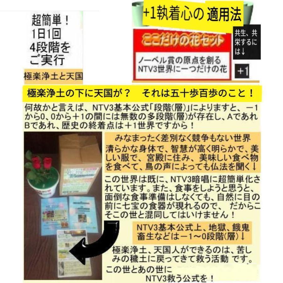 新生活  執着心の発動法「仏教の再出発」 |  | 18
