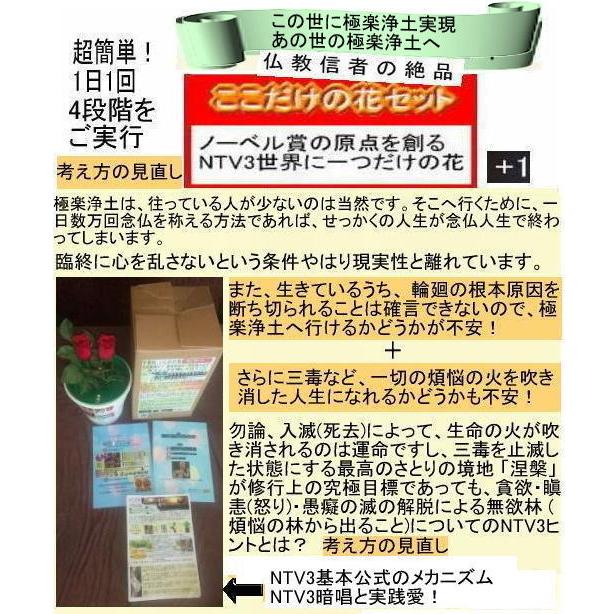 新生活  執着心の発動法「仏教の再出発」 |  | 01