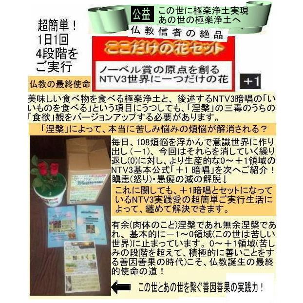 新生活  執着心の発動法「仏教の再出発」 |  | 02