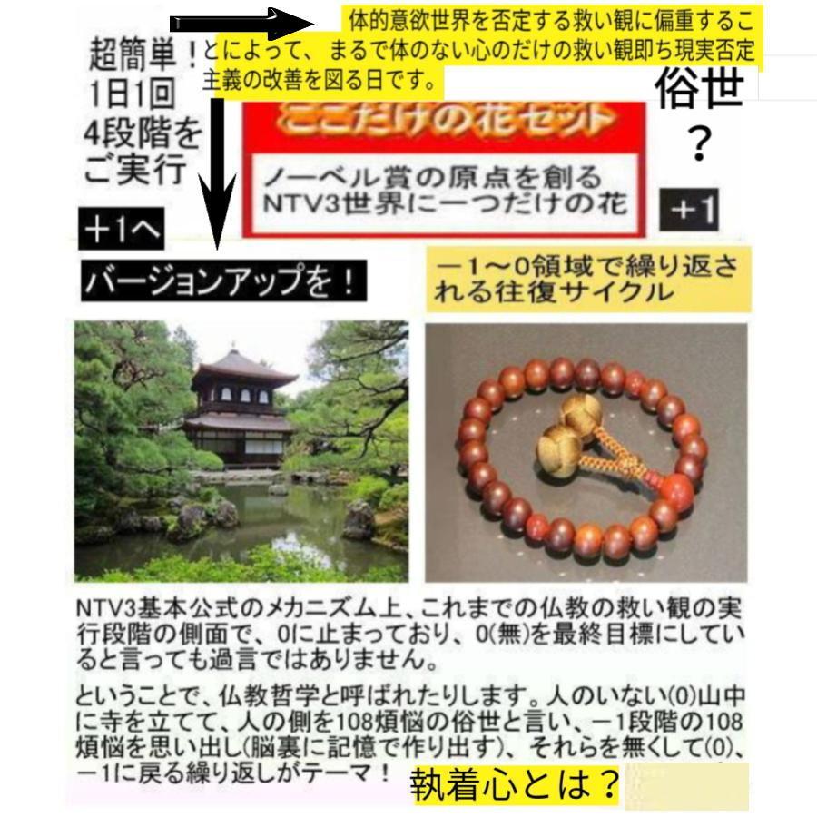 新生活  執着心の発動法「仏教の再出発」 |  | 08