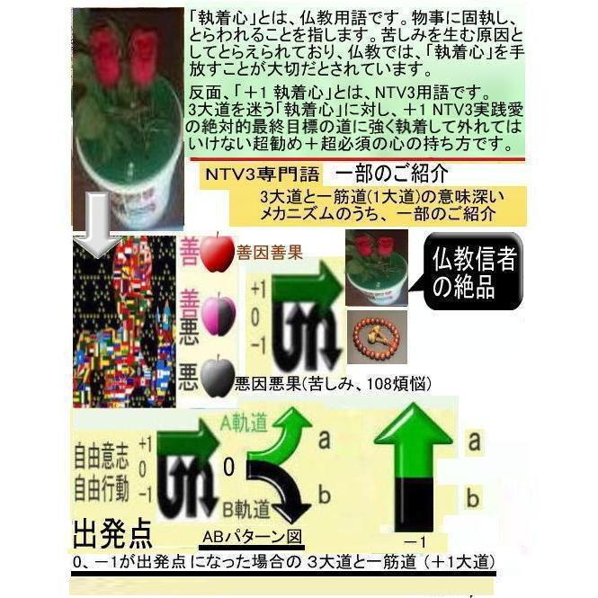 新生活  執着心の発動法「仏教の再出発」 |  | 09