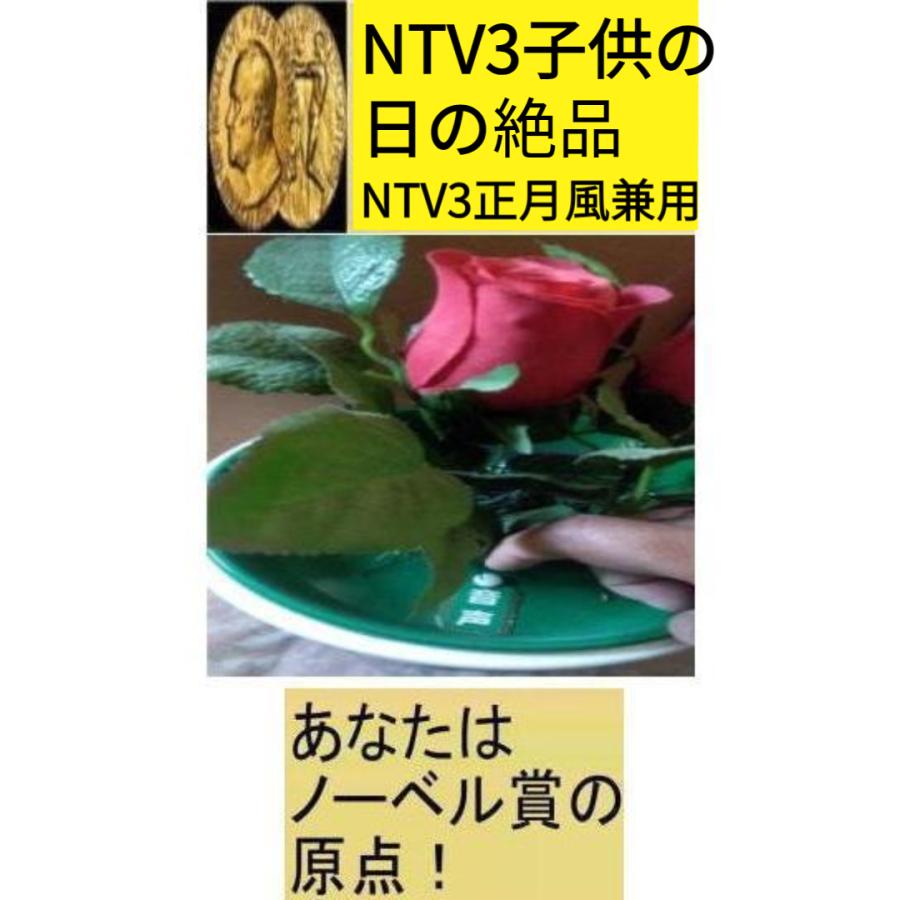 新生活 子供の日の絶品(NTV3正月風兼用) | 