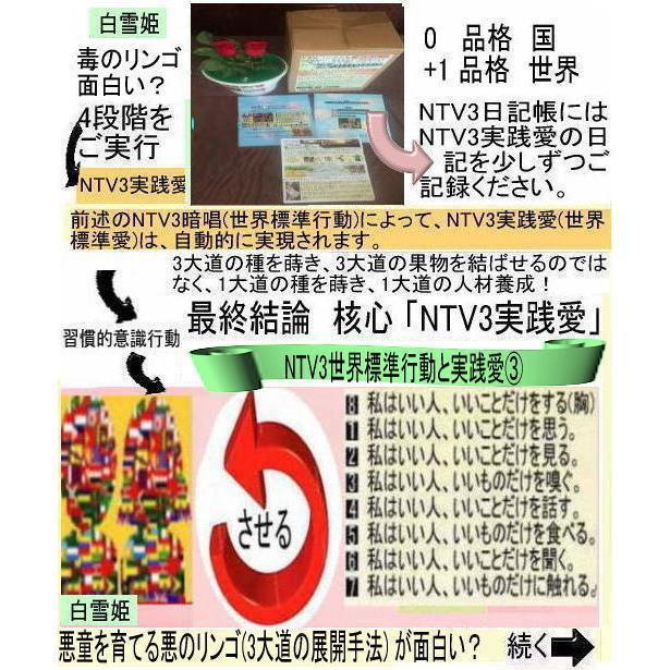 新生活 子供の日の絶品(NTV3正月風兼用) |  | 02
