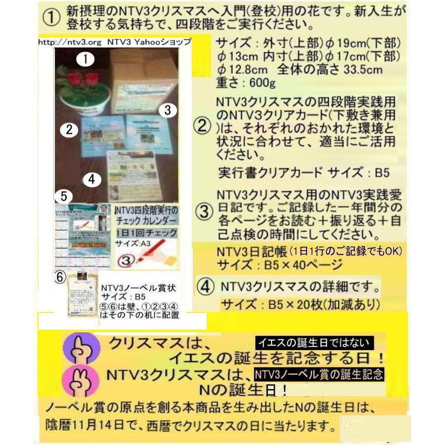 新生活 キリスト教徒の絶品(NTV3クリスマス兼用) |  | 01