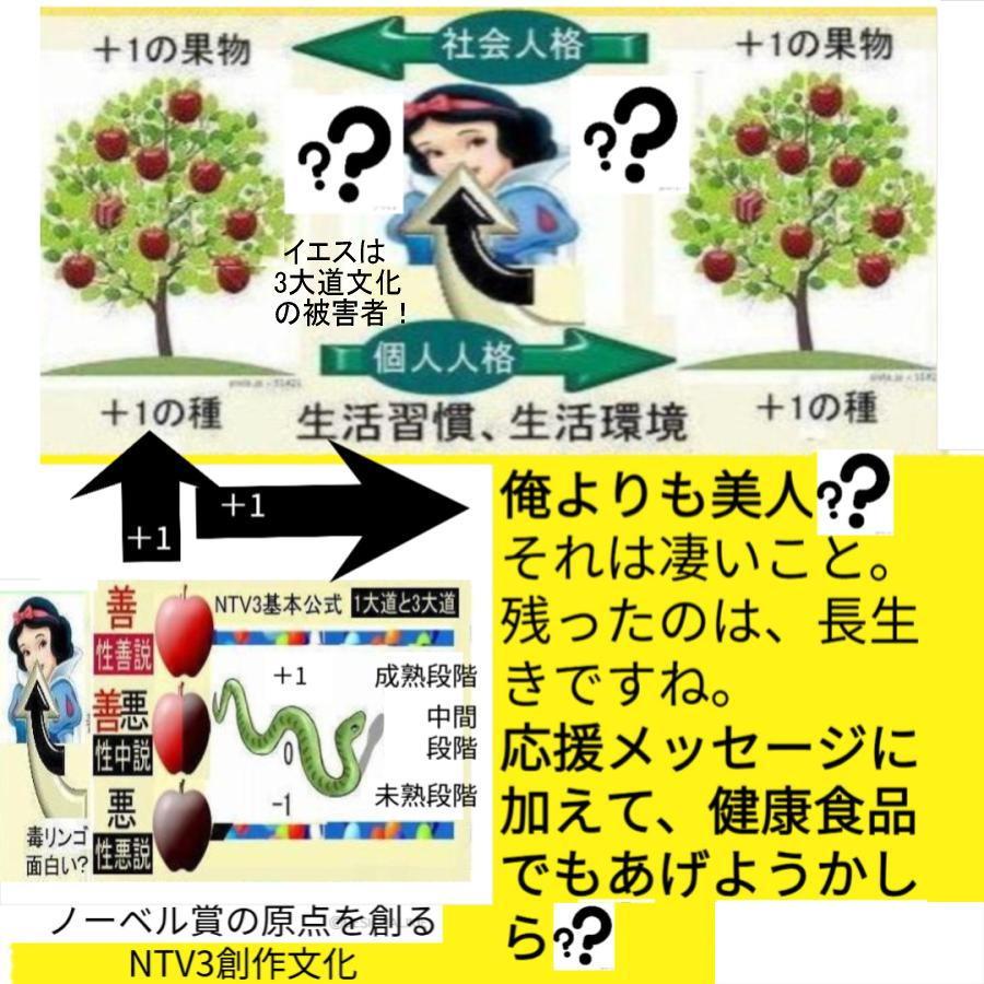 新生活 キリスト教徒の絶品(NTV3クリスマス兼用) |  | 05
