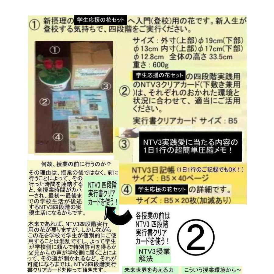 新生活  学生応援の花(教育改革の花) |  | 01