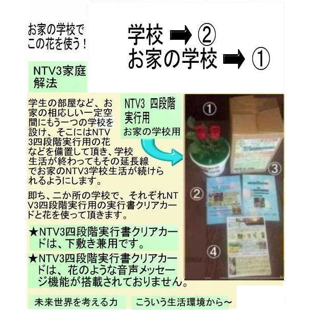 新生活  学生応援の花(教育改革の花) |  | 02