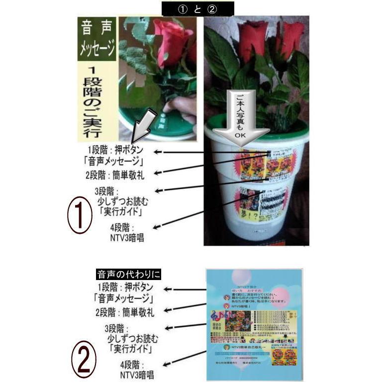 新生活  学生応援の花(教育改革の花) |  | 03