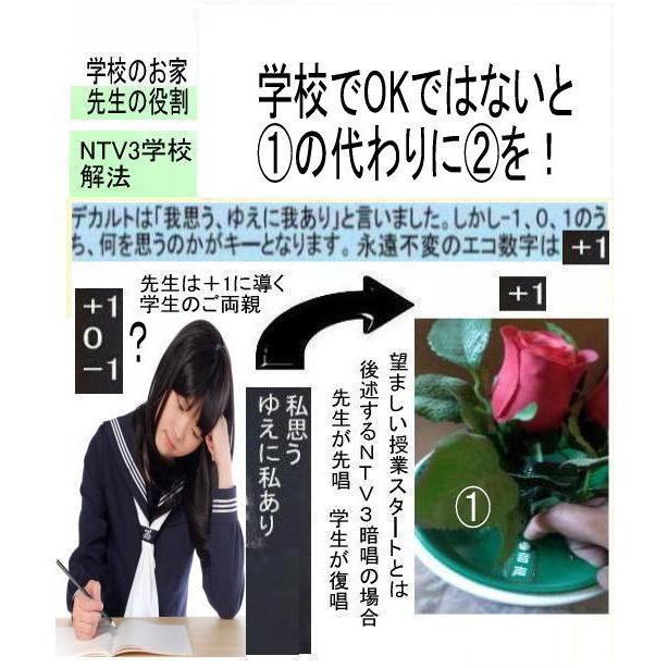 新生活  学生応援の花(教育改革の花) |  | 04