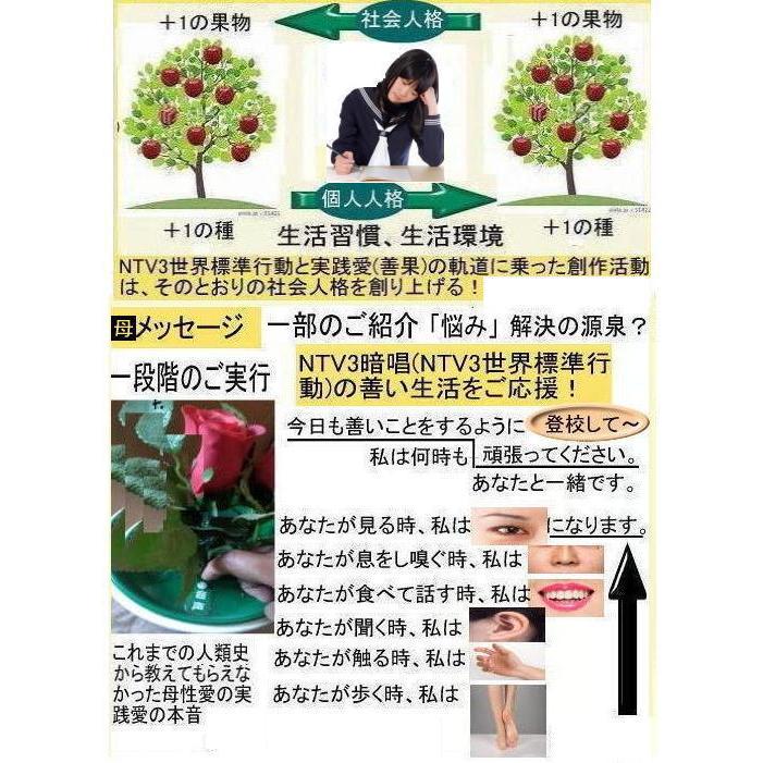 新生活  学生応援の花(教育改革の花) |  | 08